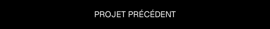 Bouton projet précédent